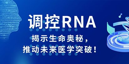 調(diào)控RNA：揭示生命奧秘，推動(dòng)未來醫(yī)學(xué)突破！