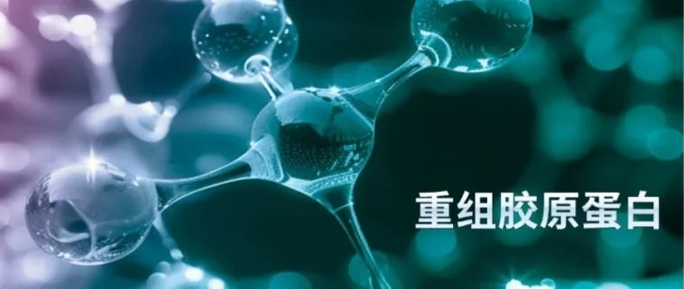 從實驗室“出走”，勇闖江湖