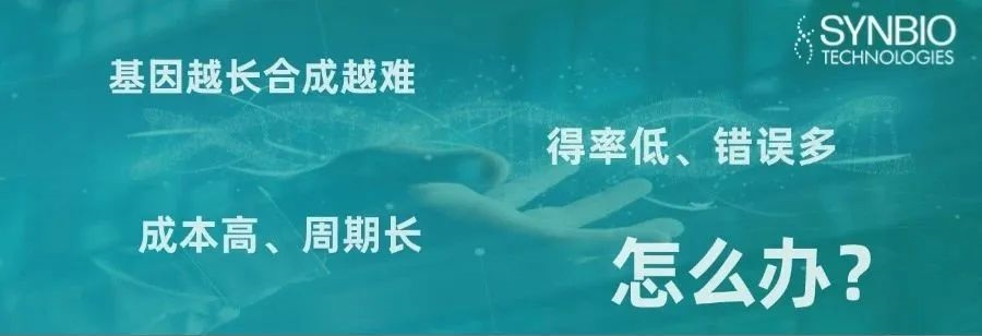 超長DNA合成技術(shù)來襲！告別碎片化時代！
